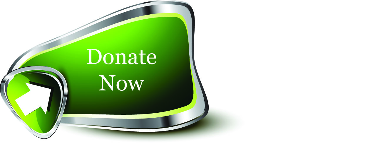 Donate Now